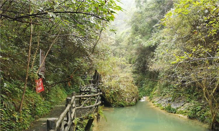 钟山供电局：配变换新“上岗” 助力寒冬“加温”