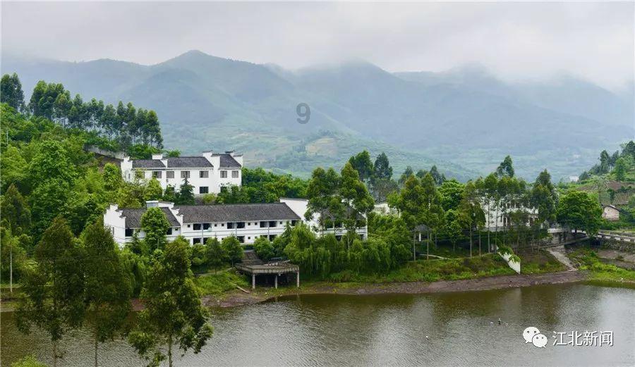 大丛林度假村逃生