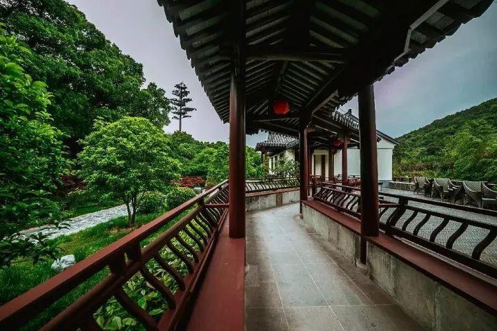 探寻知识宝库 - 娃娃机的涉及原理究竟是什么?专业问答网站