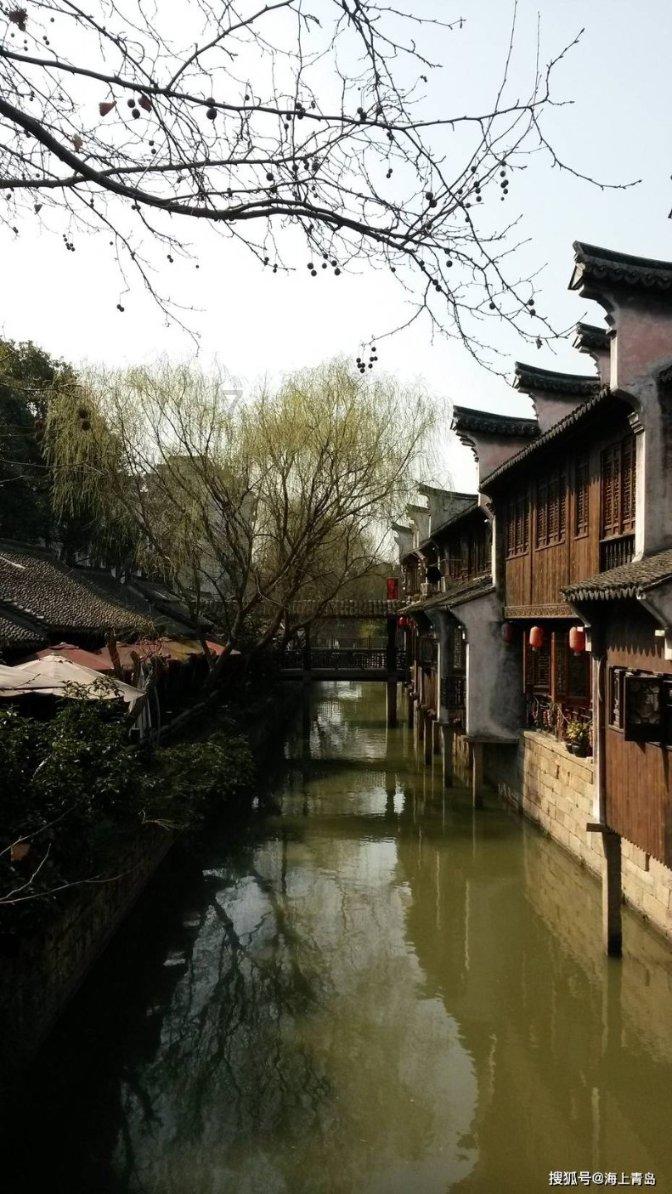科普一分钟丨关于犬瘟热病毒这些知识要了解
