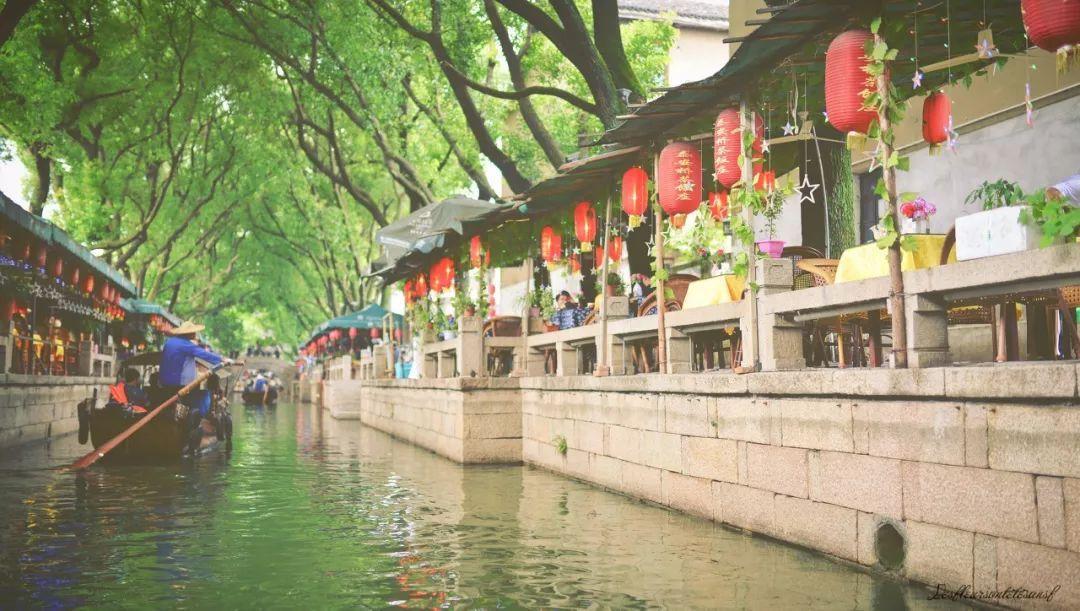 动物帮帮忙保卫家园