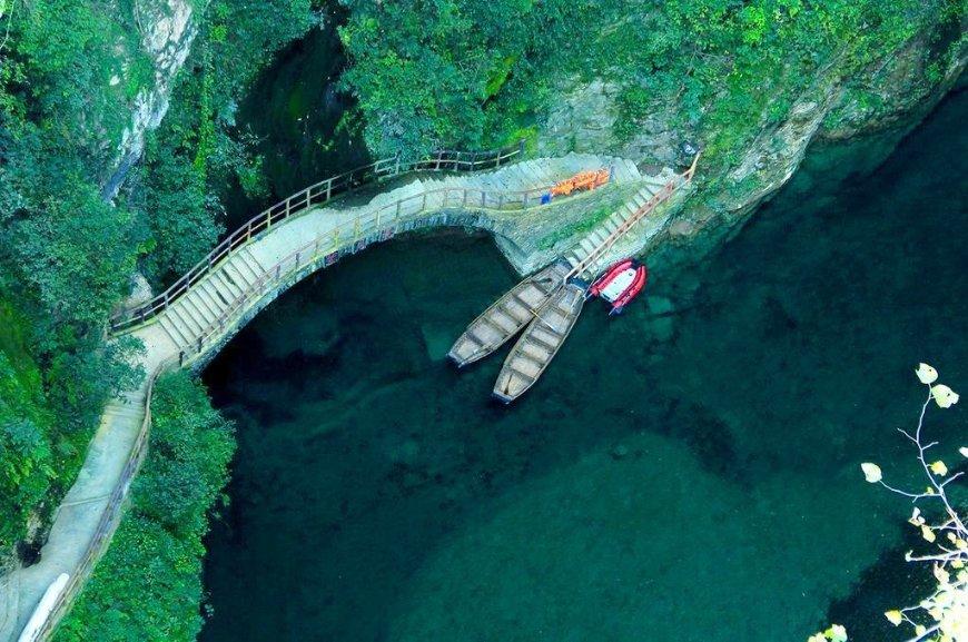 燃烧吧大脑免广告最新版